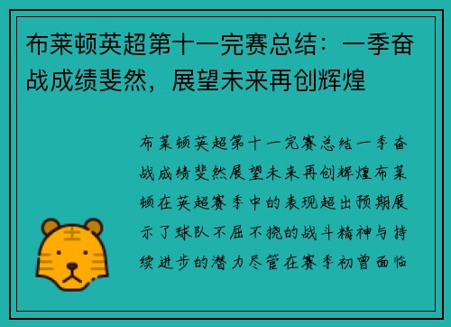 布莱顿英超第十一完赛总结：一季奋战成绩斐然，展望未来再创辉煌